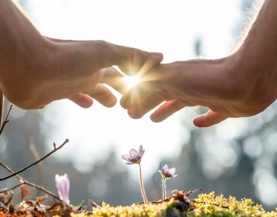 Image for Attune Reflexology Dorking Young Women's Support Service - High blood pressure, Reflexology surrey, Back Ache, Migraine, Reduce Stress, Holistic Health, Feeling Exhausted, Menopause Support, Peri Menopause Help, Mobility, Hormone Balance, Grief